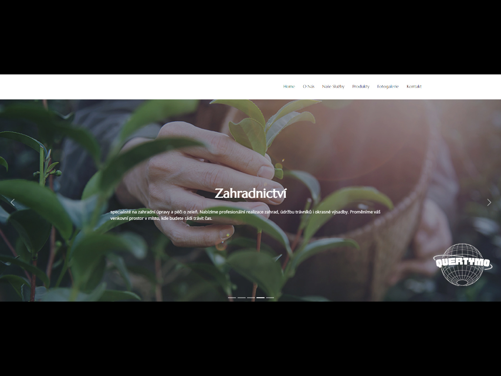 Tvorba webových stránek – profesionální design a vývoj pro vaši online prezentac